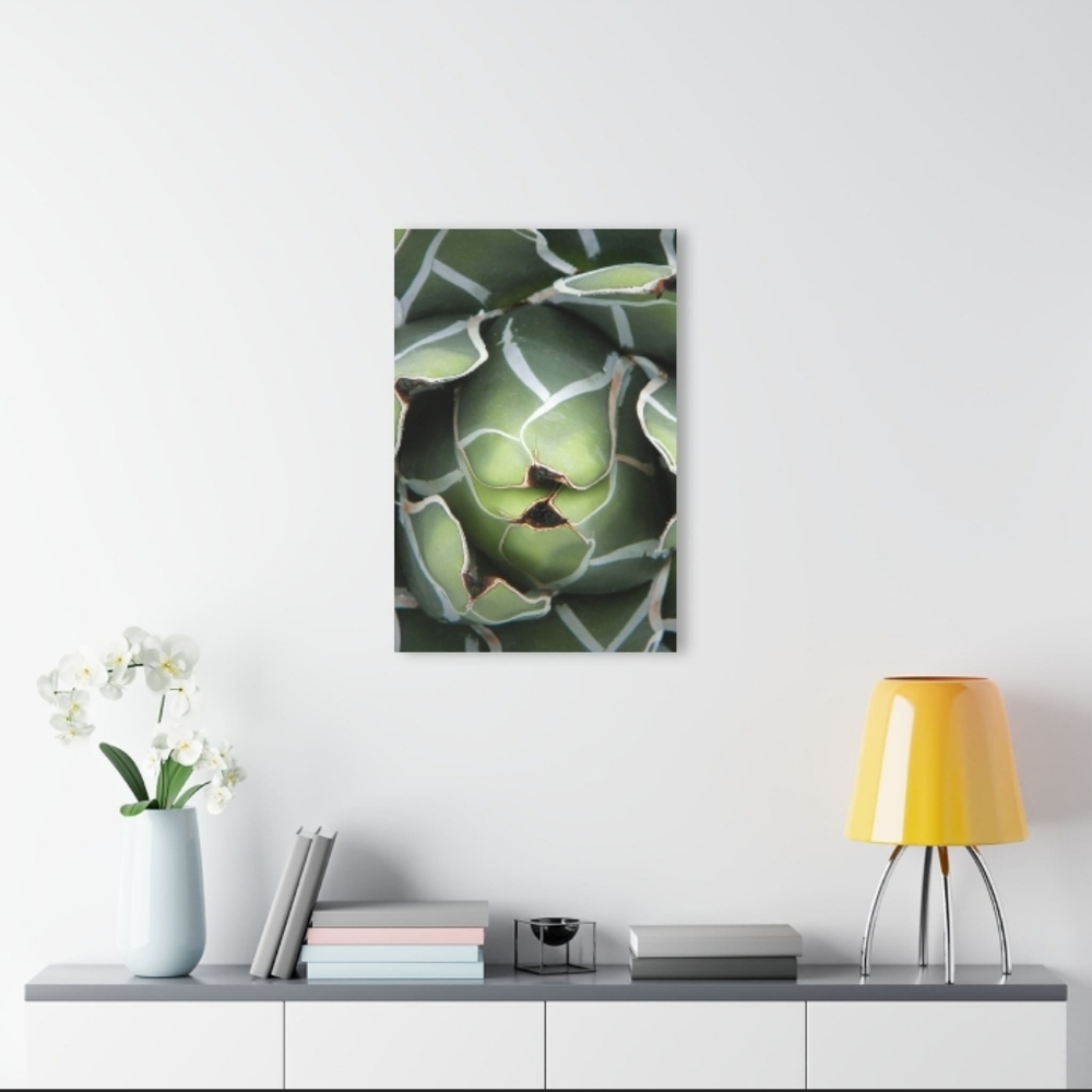 Green Agave Wall Art